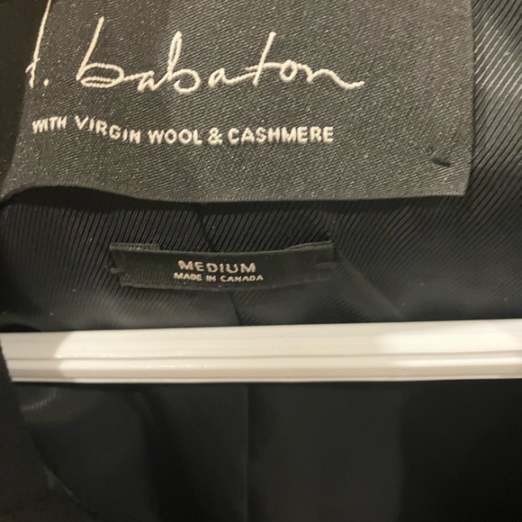 Aritzia babaton wool coat - Picture 3 of 3